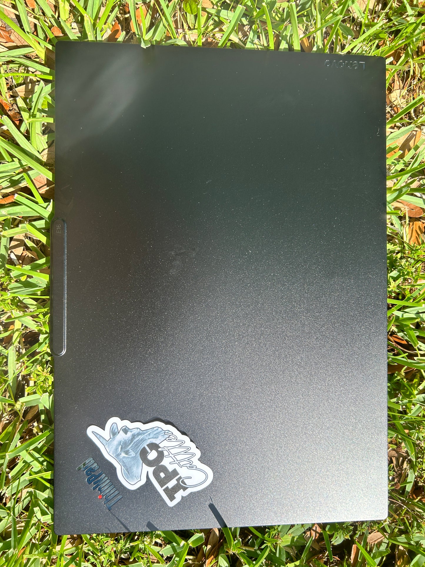 IPC Cattle - Black and White Bull sticker