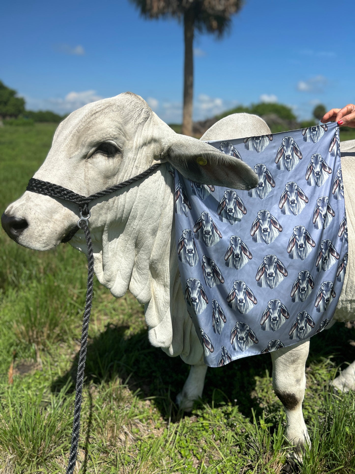 The Steel Brahman Satin Wild Rag